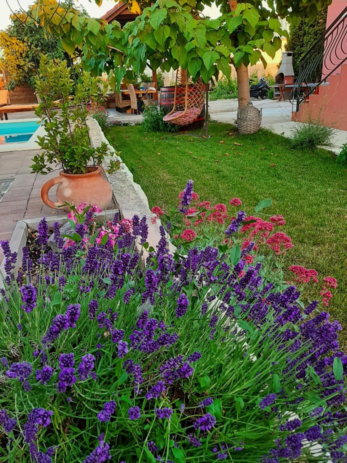 Apartment Smilje Szybenik Zewnętrze zdjęcie